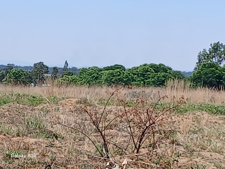 0 Bedroom Property for Sale in Vaalpark Free State